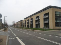 IMG_6872