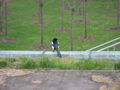 IMG_6886