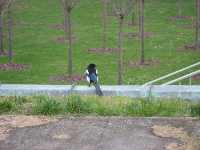 IMG_6886