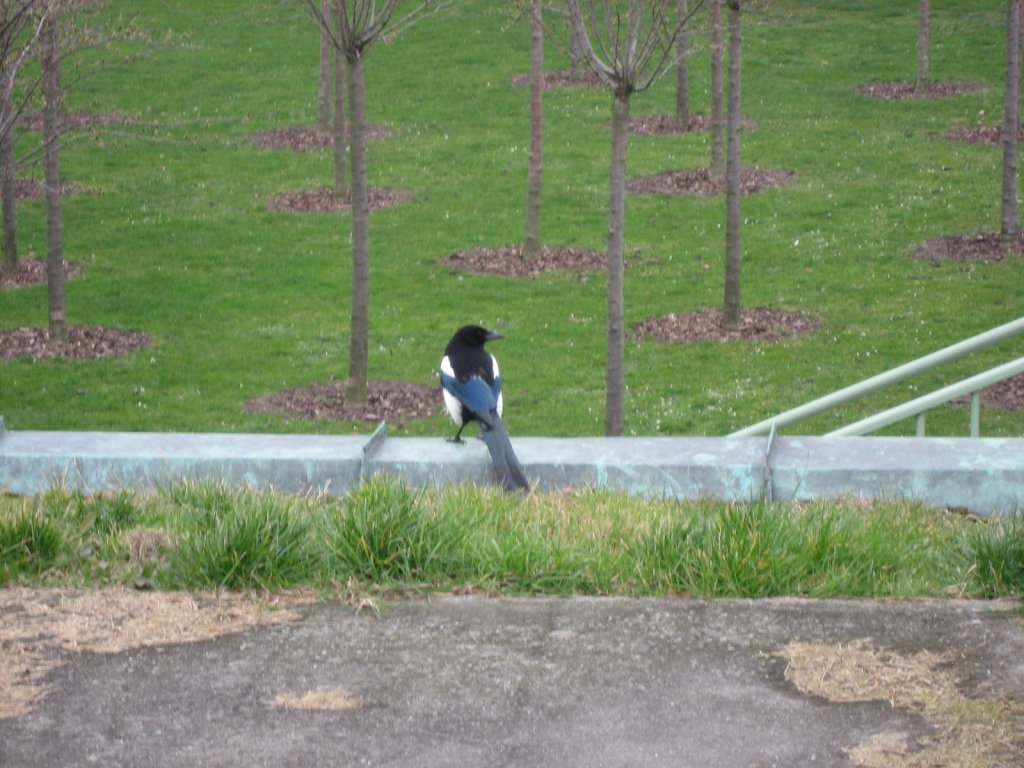 IMG_6886