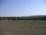 budapest_luke_076