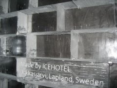 IMG_6906