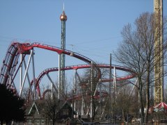 IMG_6926