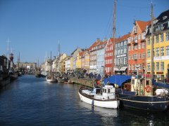 IMG_6941