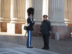 IMG_6944