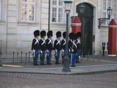 IMG_6945