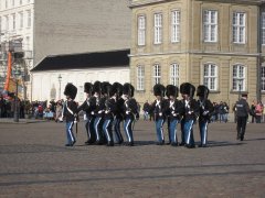 IMG_6947