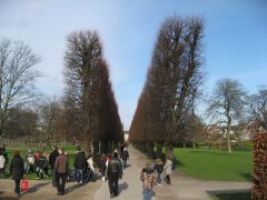 IMG_6993