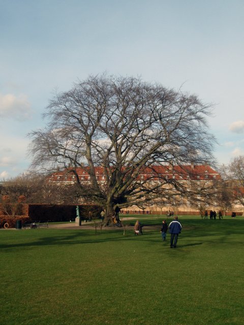 p3080412