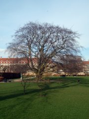p3080413