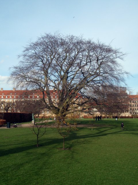 p3080413