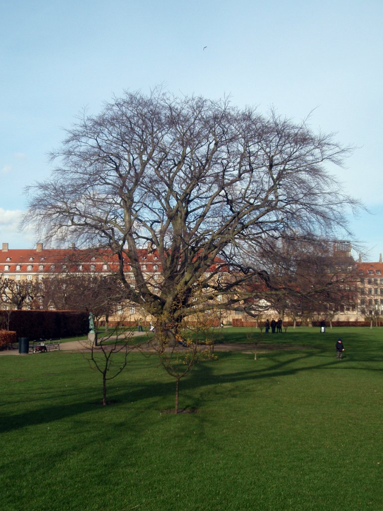 p3080413