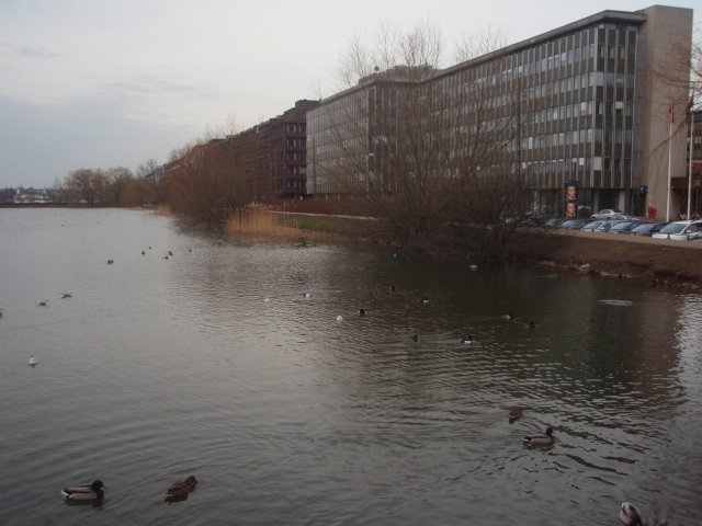 p3080439