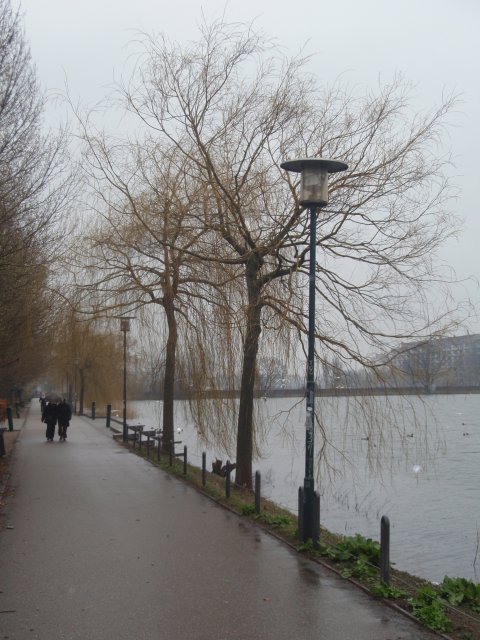 p3090456