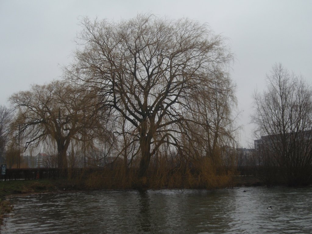p3090461
