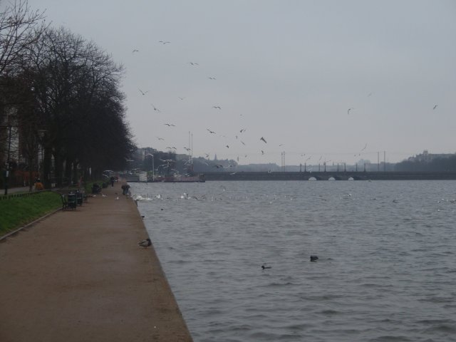 p3090465