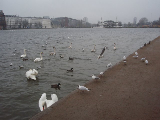 p3090471