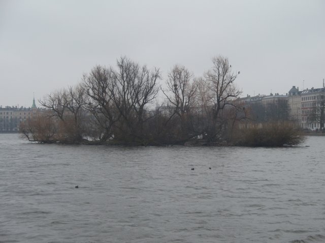 p3090481