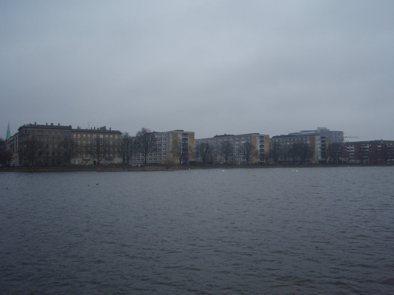 p3090497