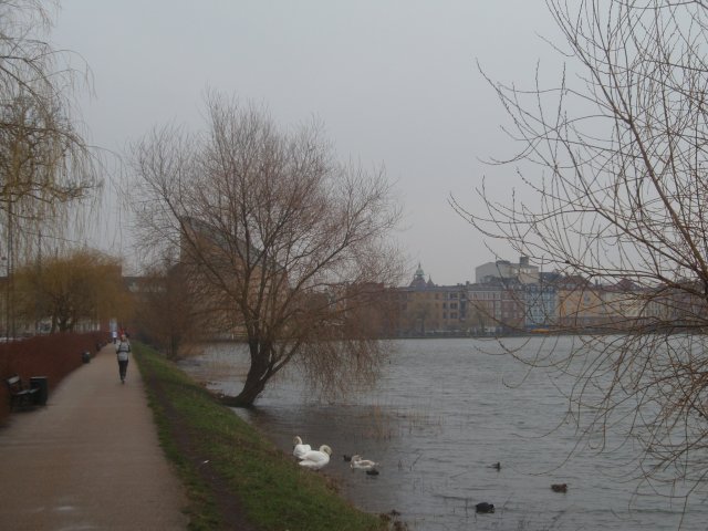 p3090512