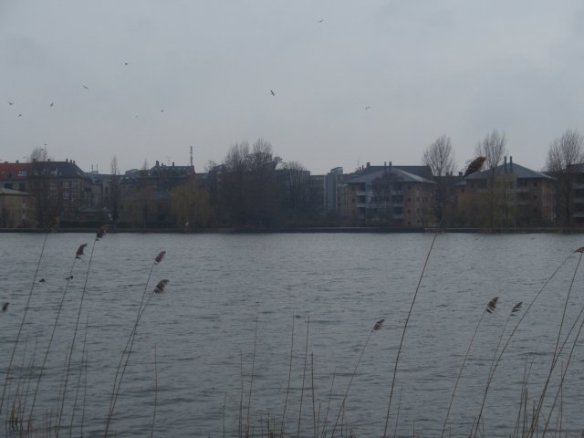p3090514